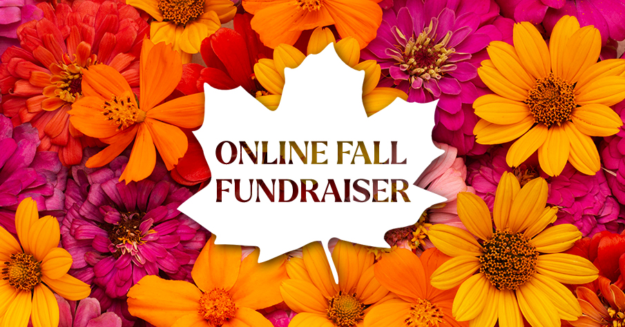 Online fall fundraiser