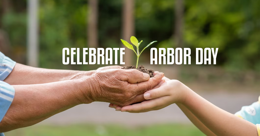 Celebrate-Arbour-day | spring fundraising ideas