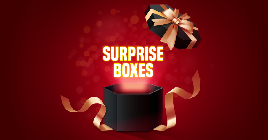 Surprise Box | Daycare fundraising ideas