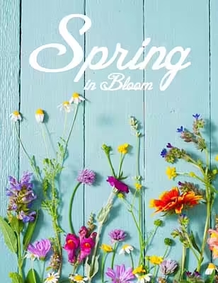 Spring catalog