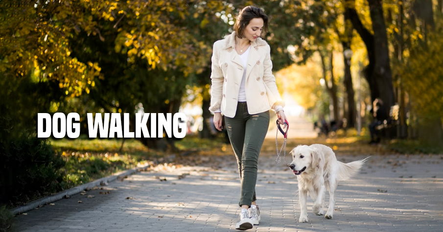 Dog Walking | fundraising ideas for nonprofits